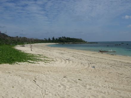 �Ɍ��Ԃ̊C�ݐ�